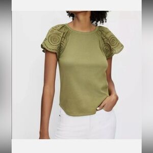 Loft Elegant Olive Eyelet Flutter Sleeve Blouse